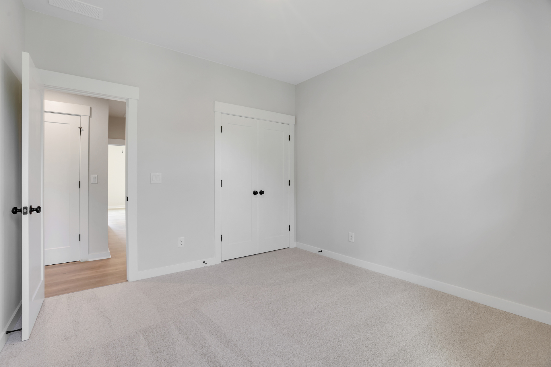 bedroom with walk-in closet and carpet