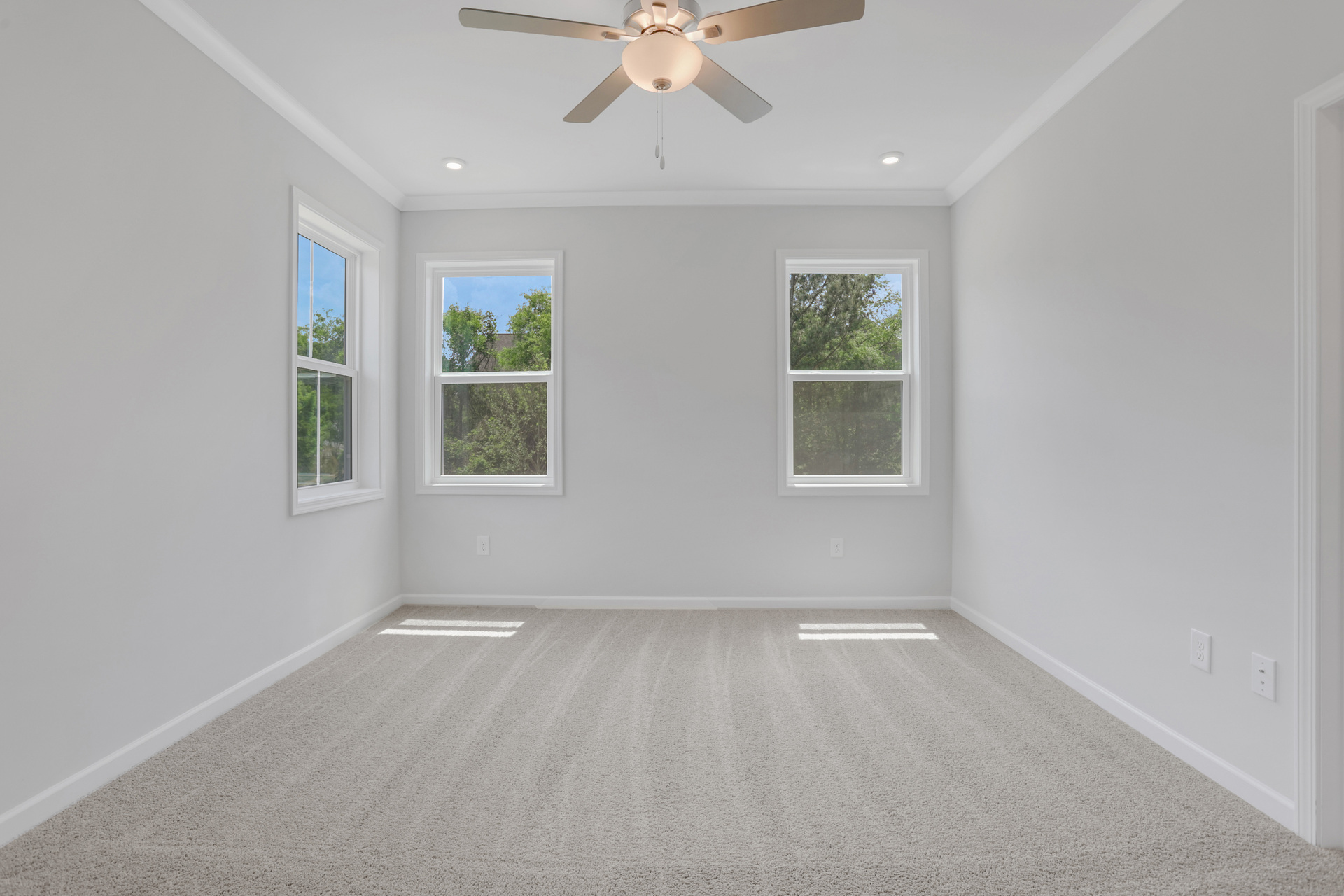 primary bedroom with windows and carpet