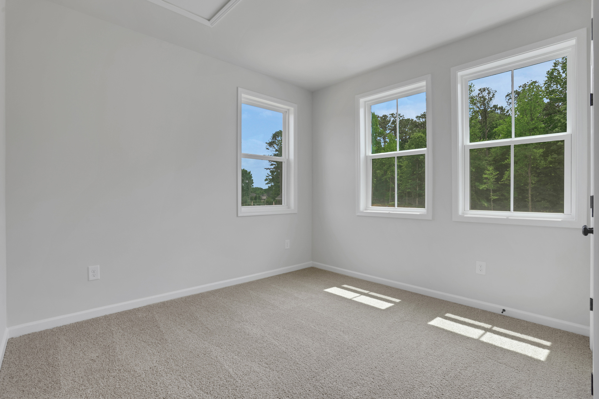 bedroom with windows and carpet