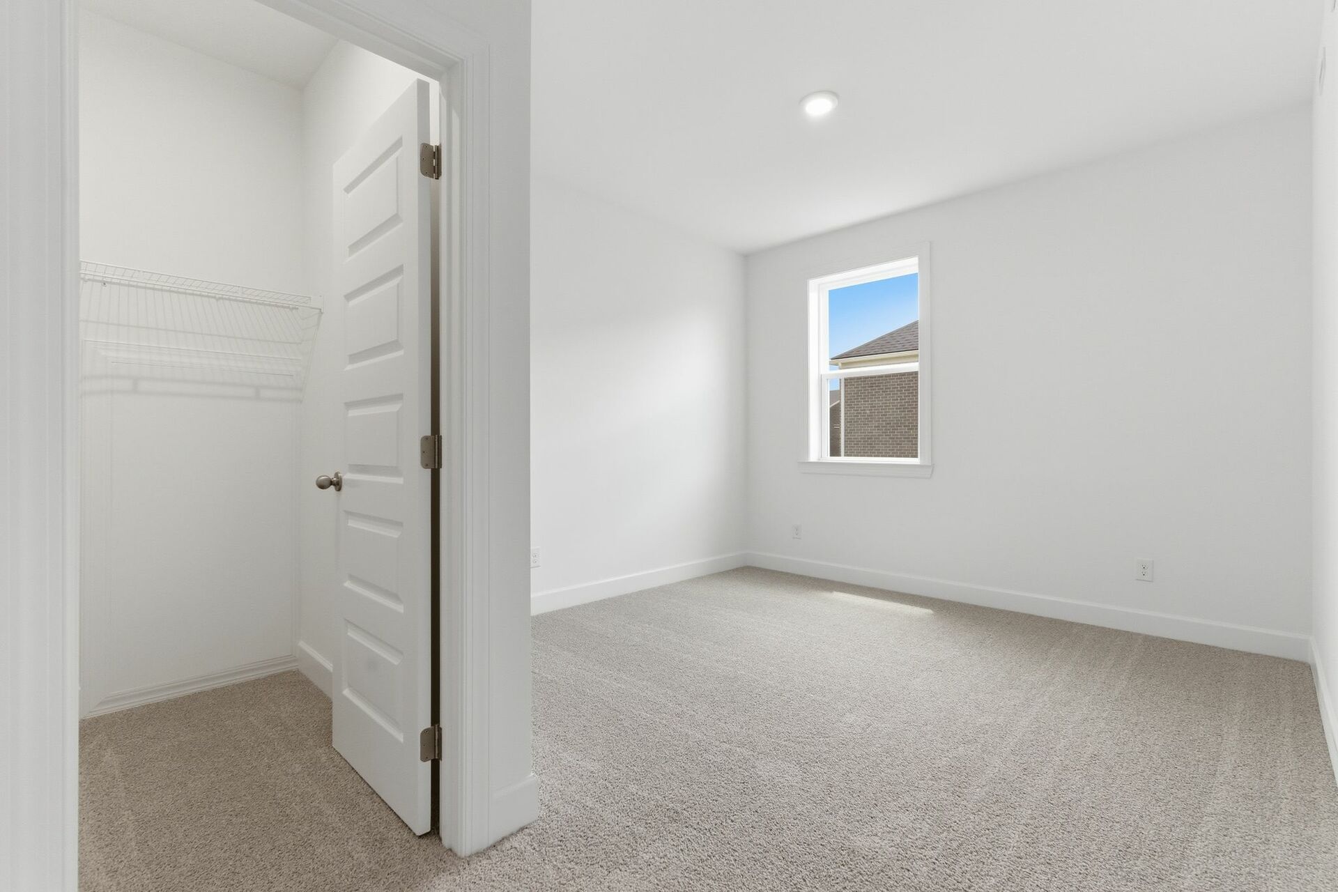 secondary bedroom with carpet, white walls, and large windows