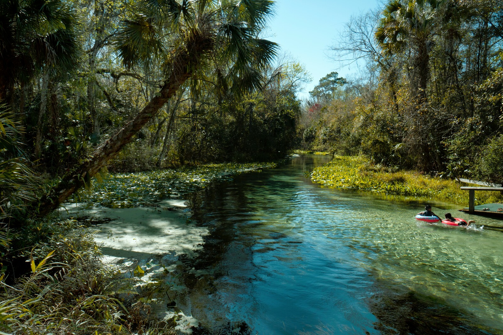 Apopka Neighborhood Page