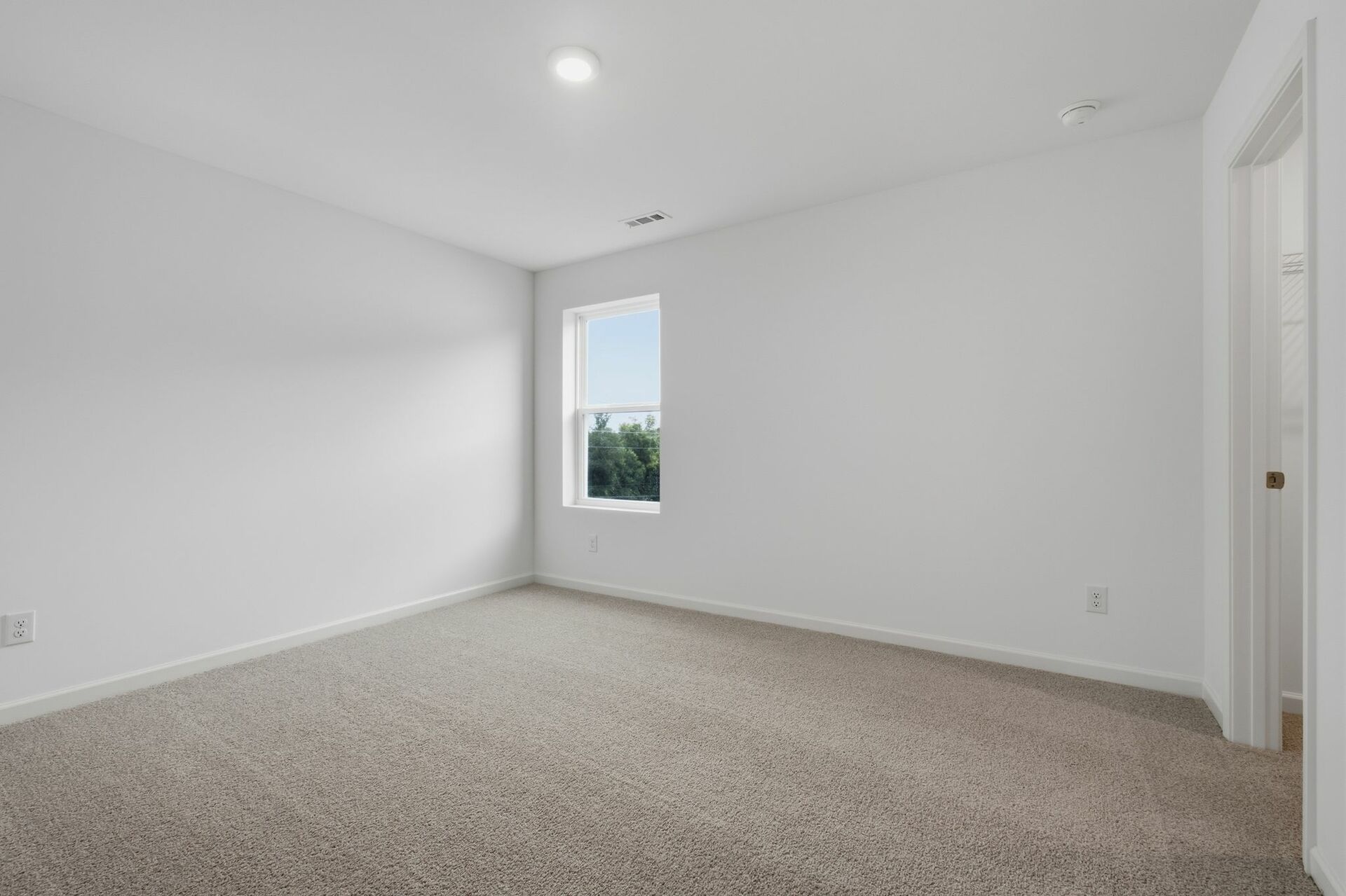 bedroom with carpet and large windows