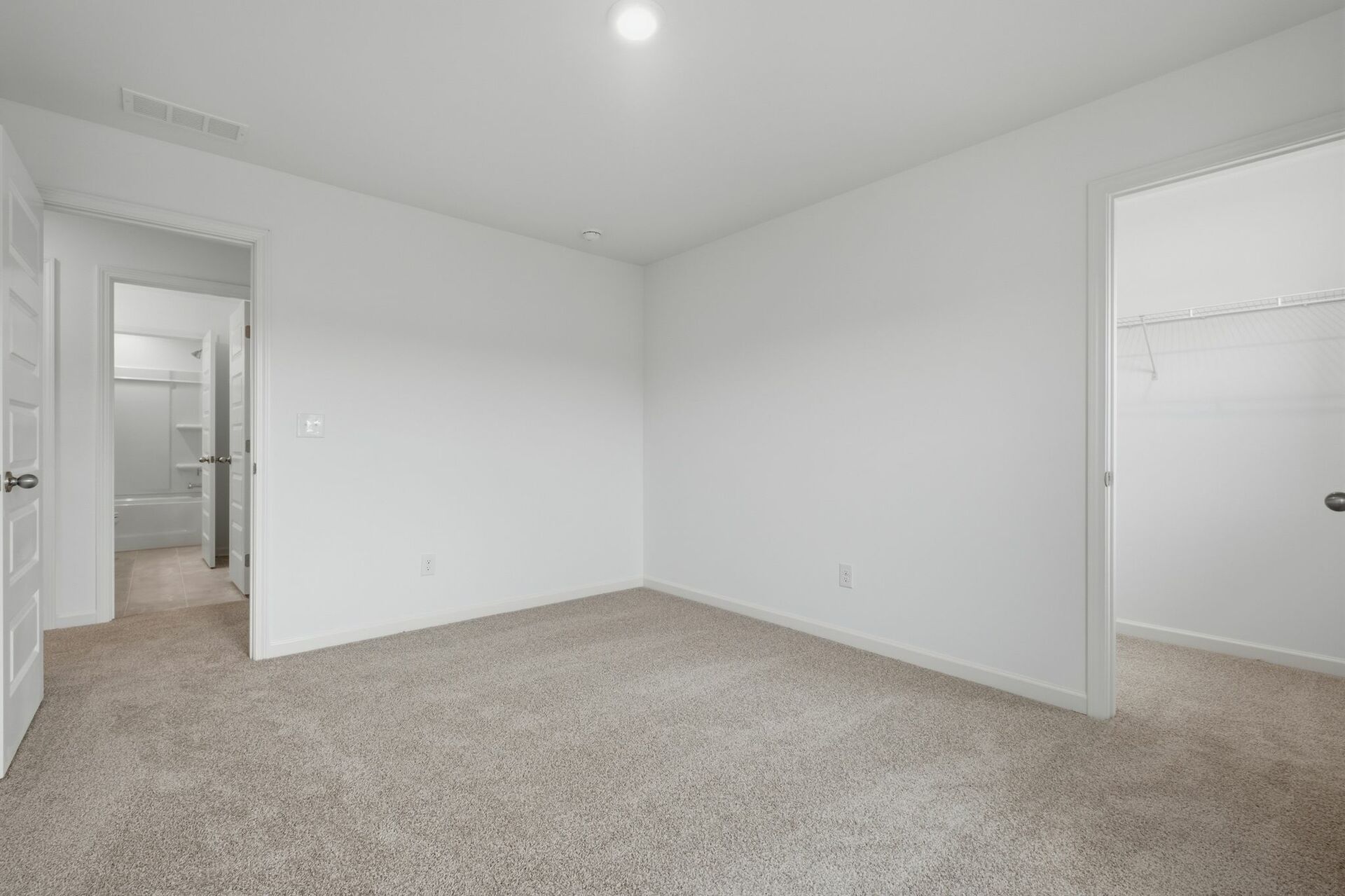 secondary bedroom with carpet, windows, and walk-in closet