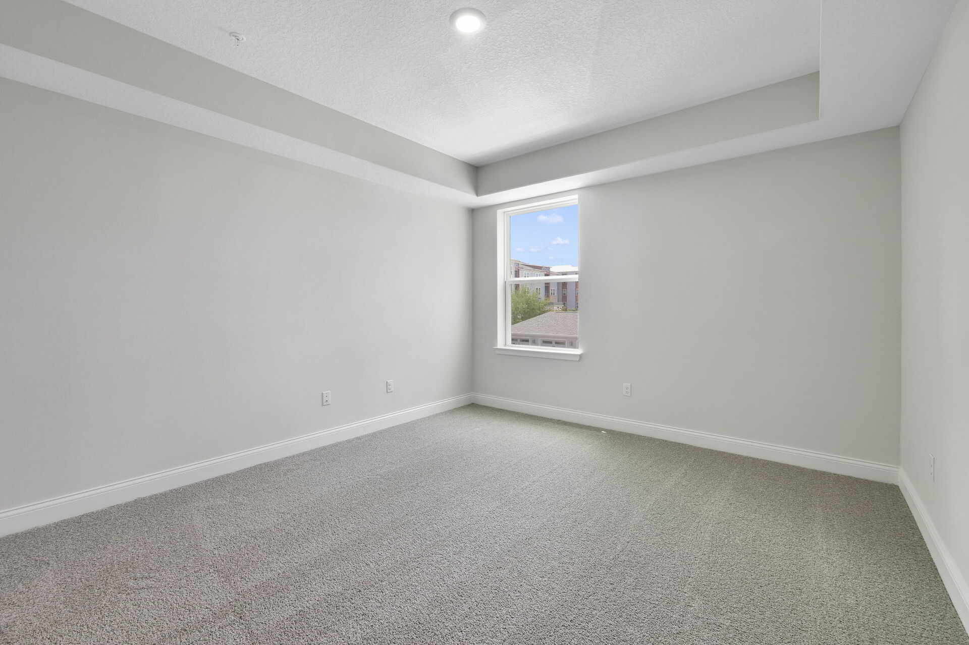 carpet throughout and tray ceilings 