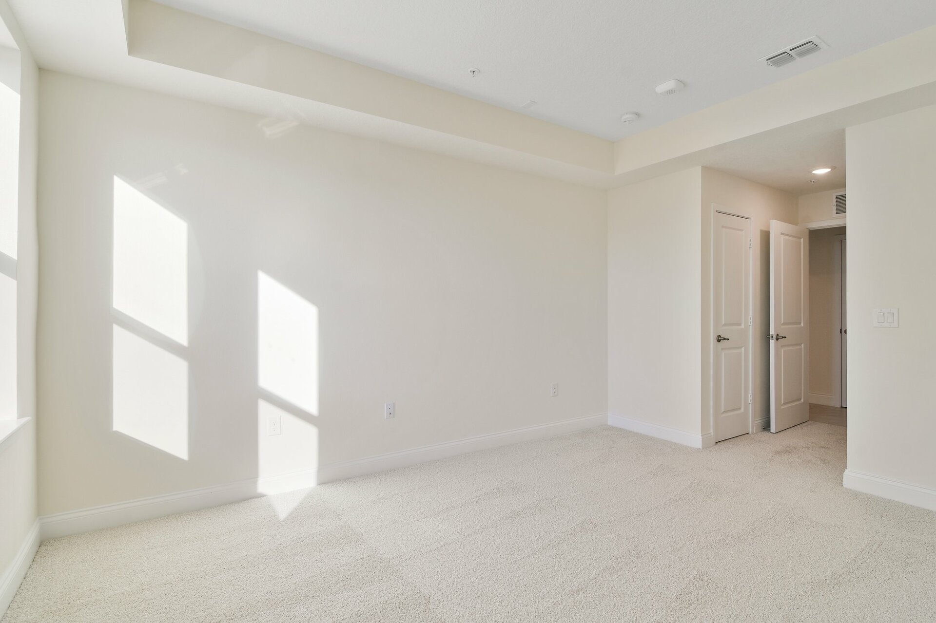 secondary bedroom with tray ceiling, carpet, and two windows