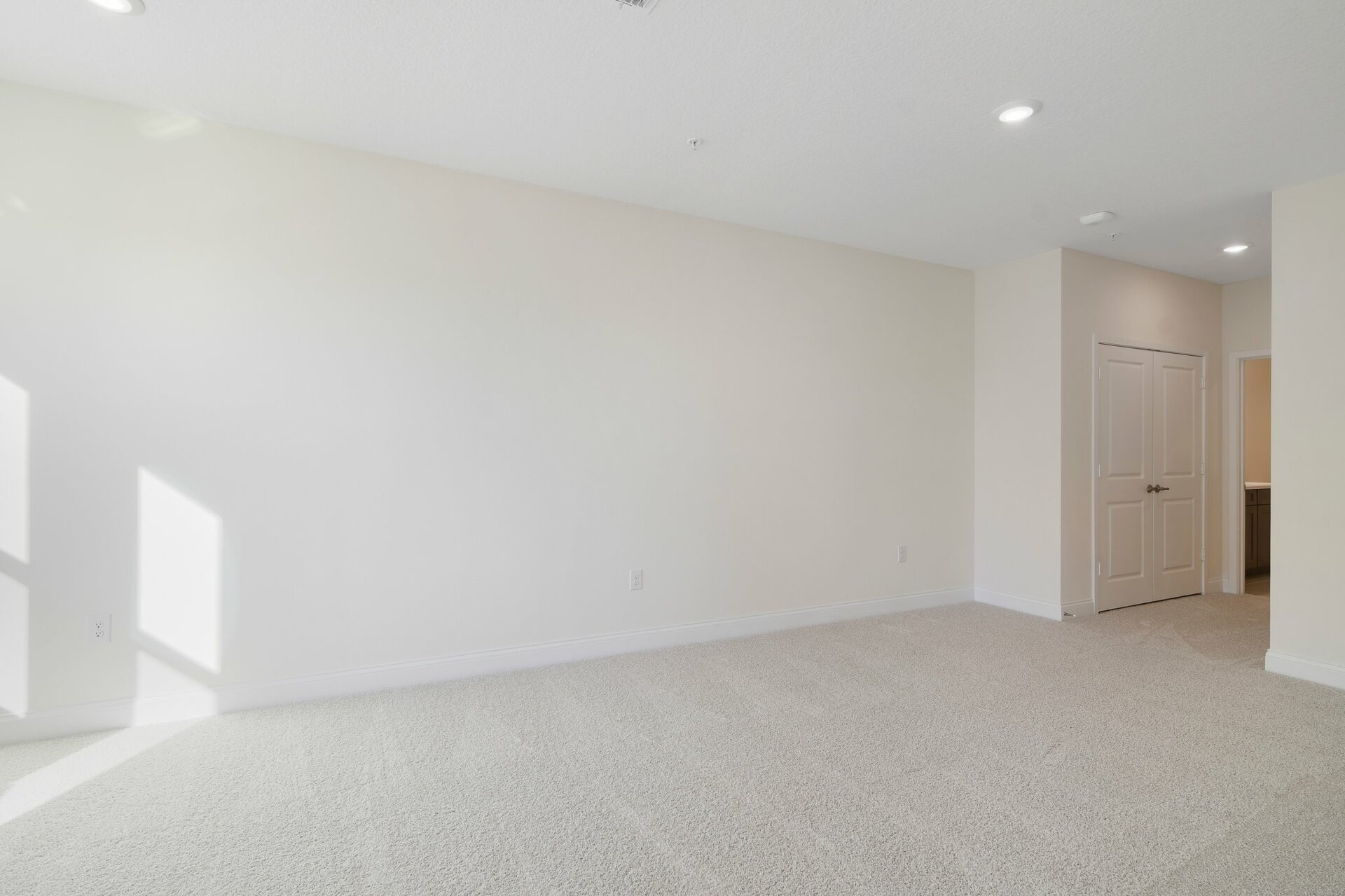 primary bedroom with carpet and two windows