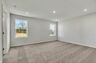 primary bedroom with carpet flooring and light filled windows