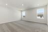 primary bedroom with carpet, large windows, walk-in closet, and attached bathroom