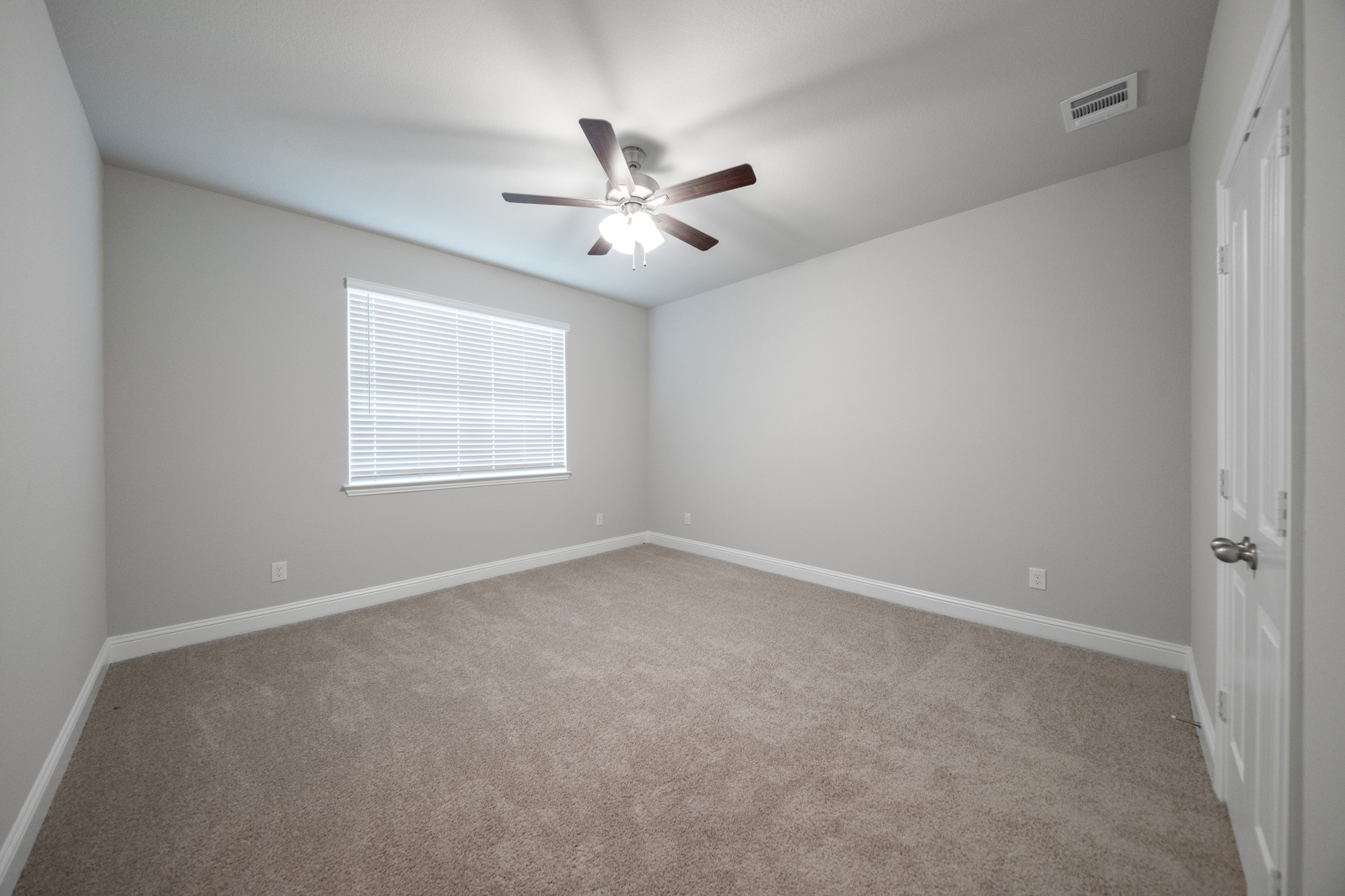 spacious primary bedroom with carpet and windows