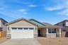 single-story single-family home with desert landscaping and concrete driveway