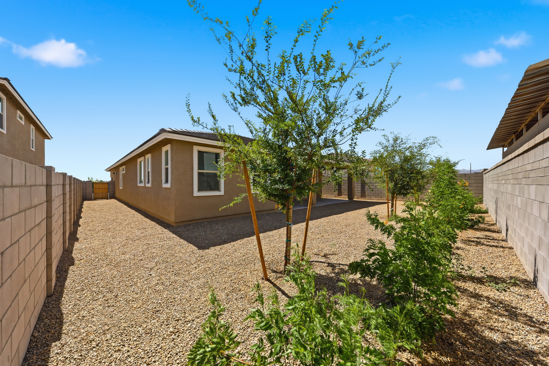 spacious landscaped backyard with rocks, trees, and bushes.