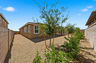 spacious landscaped backyard with rocks, trees, and bushes.