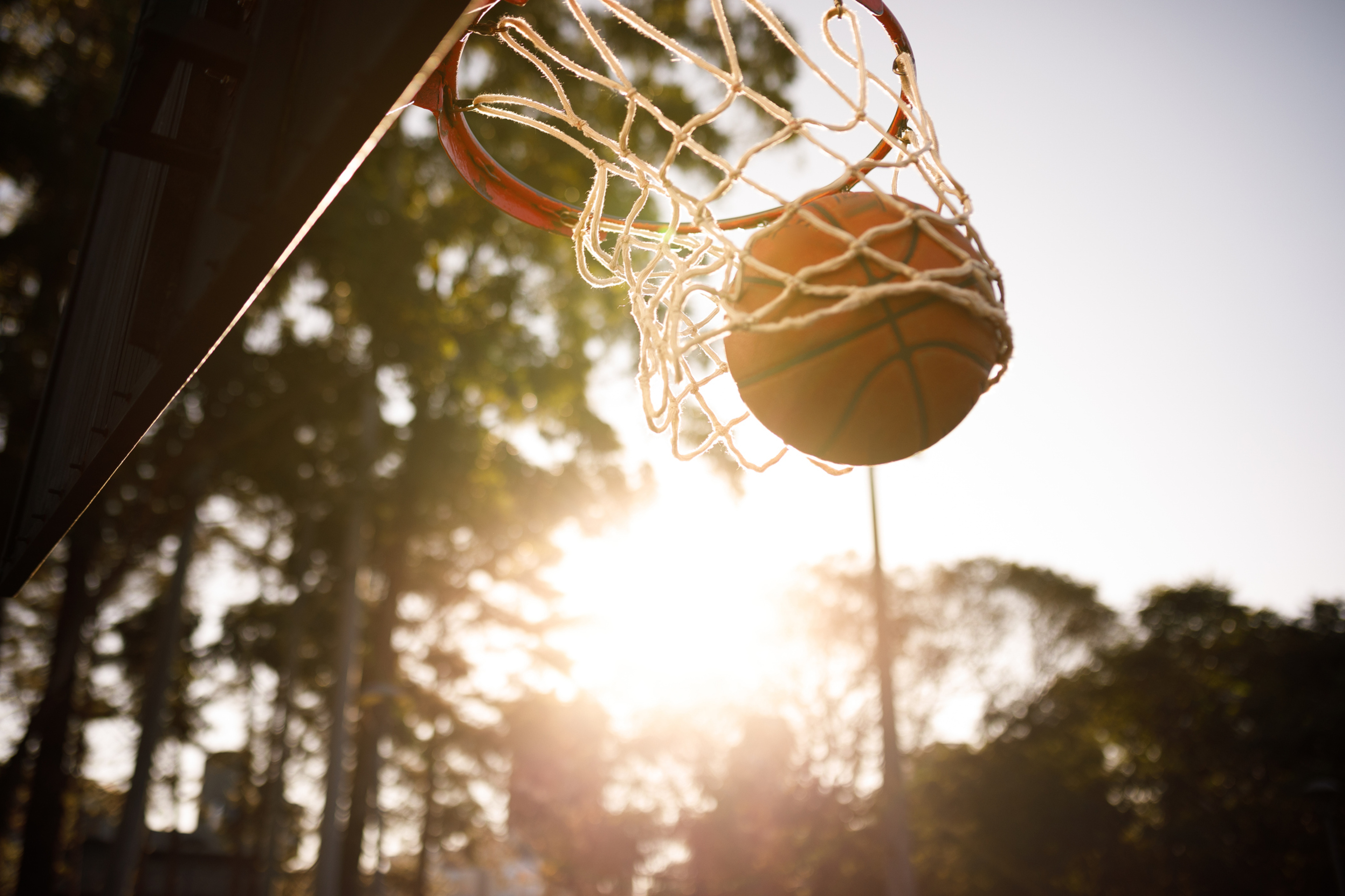 Basketball Court