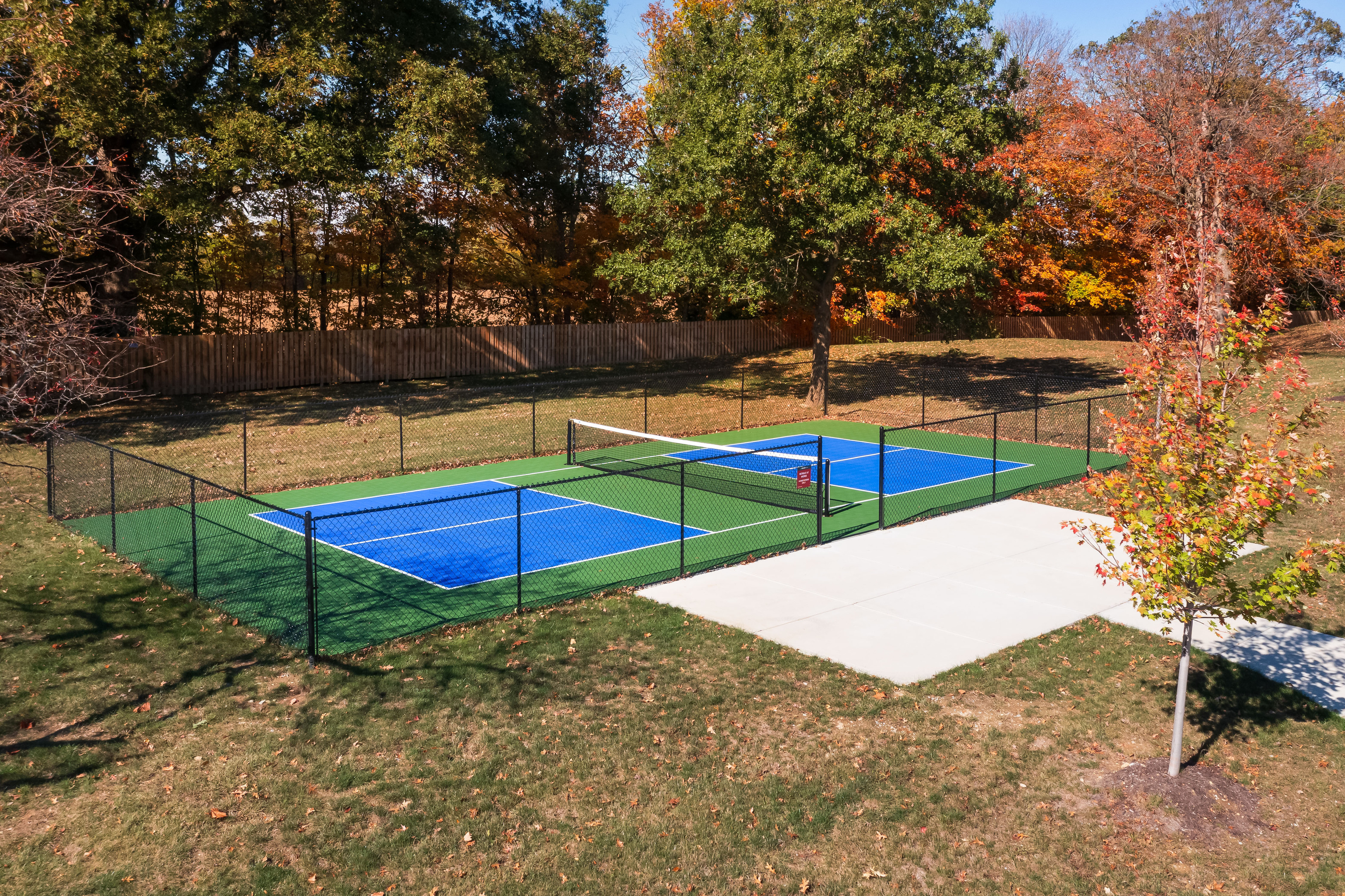 pickleball court with trees in the background