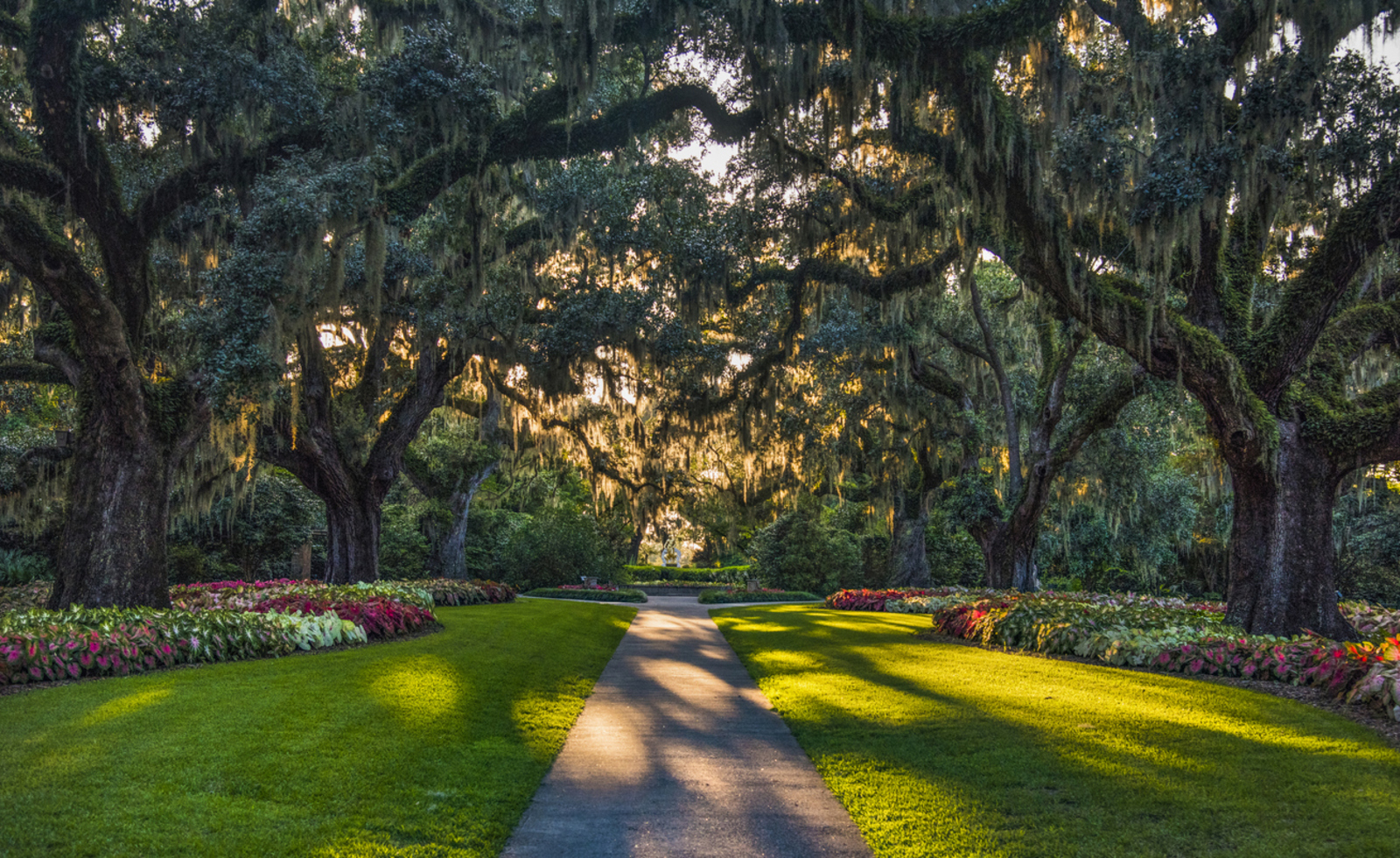Brookgreen trees.jpg