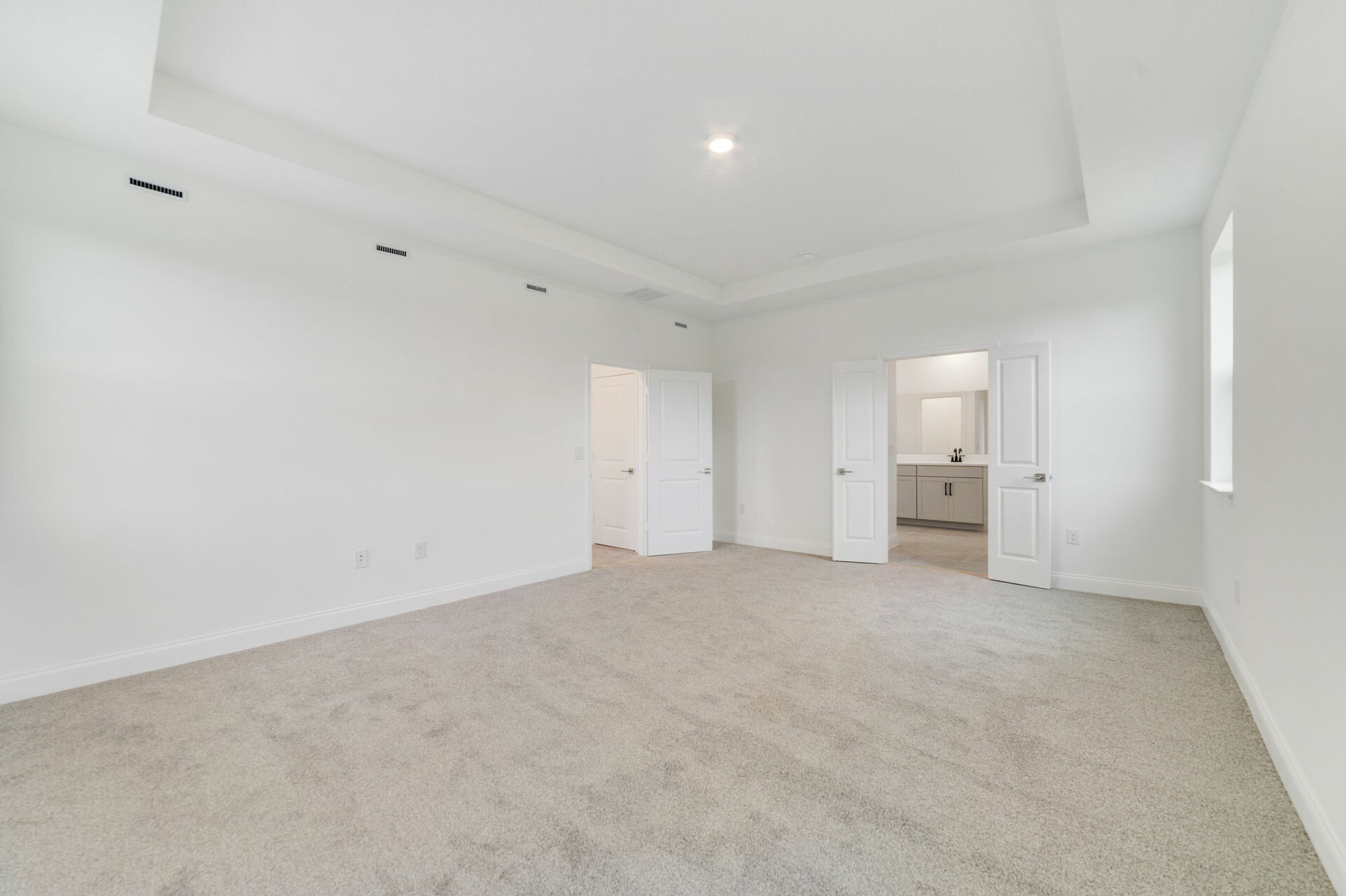 primary bedroom with carpet, windows and try ceilings 
