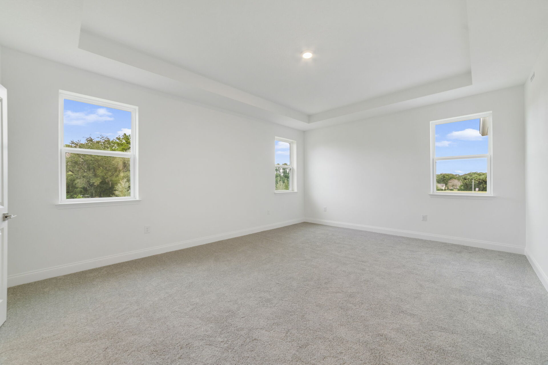 primary bedroom with carpet, windows and try ceilings 