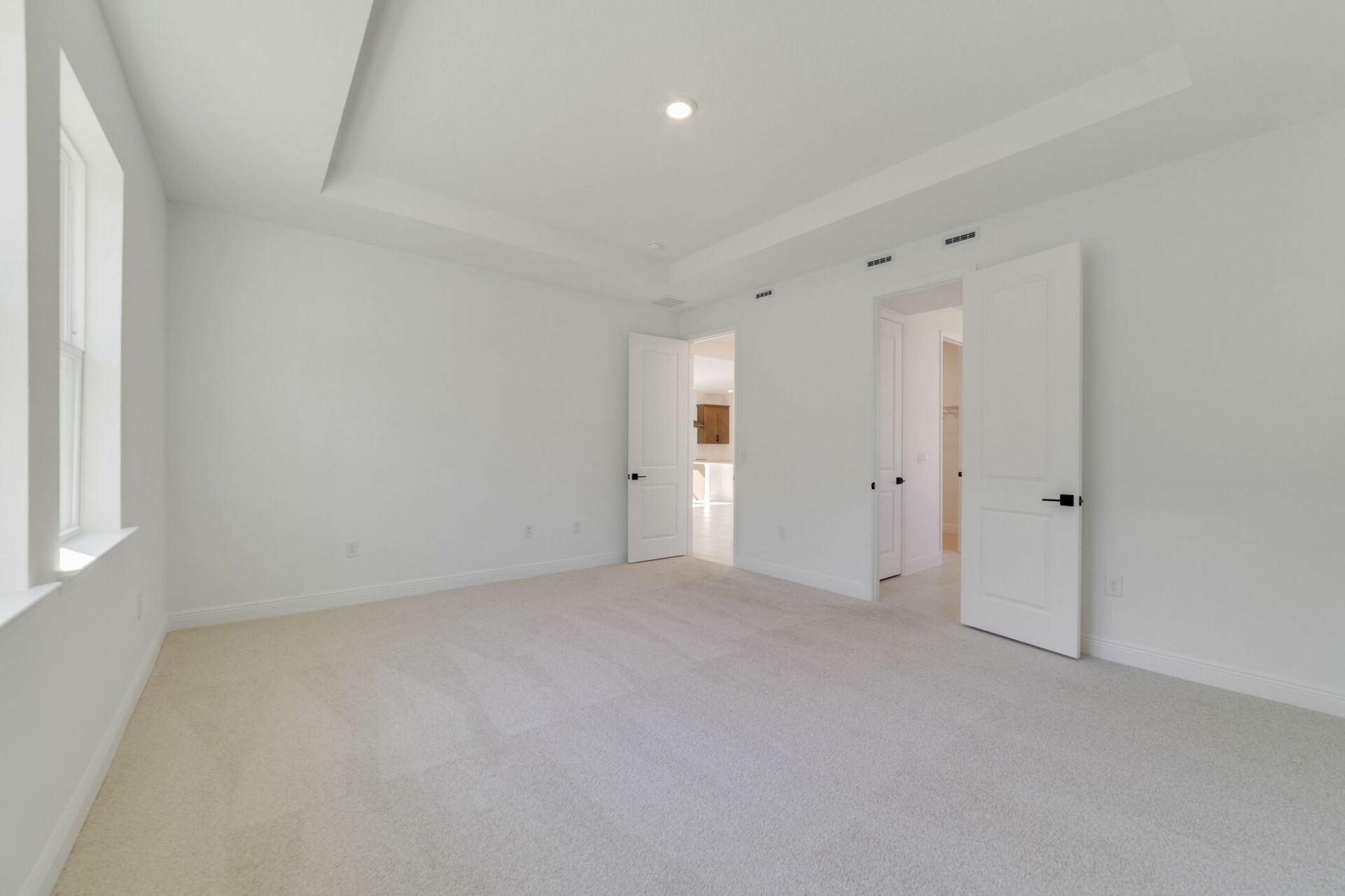 primary bedroom with carpet, tray ceilings, and multiple windows