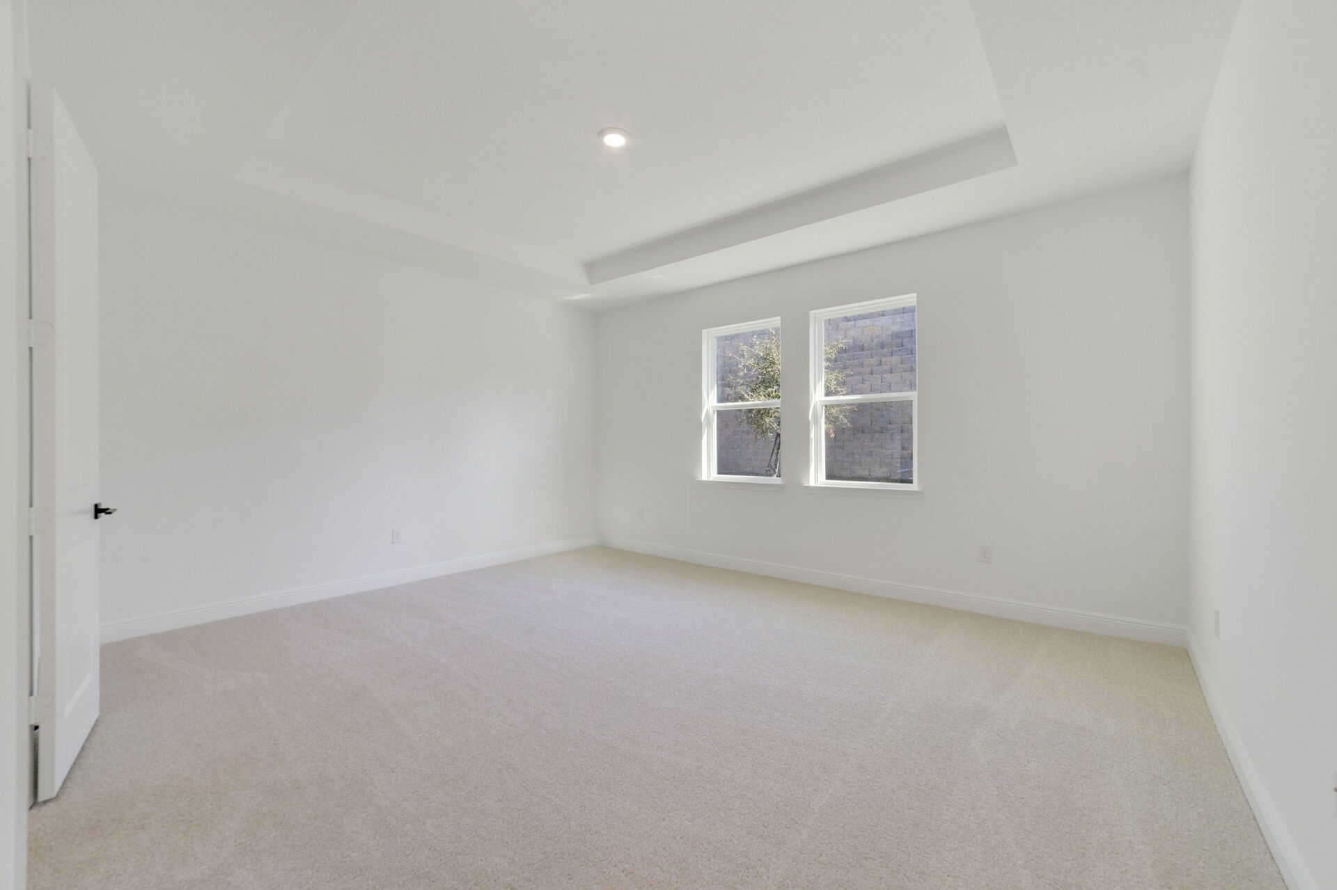 primary bedroom with carpet, tray ceilings, and multiple windows