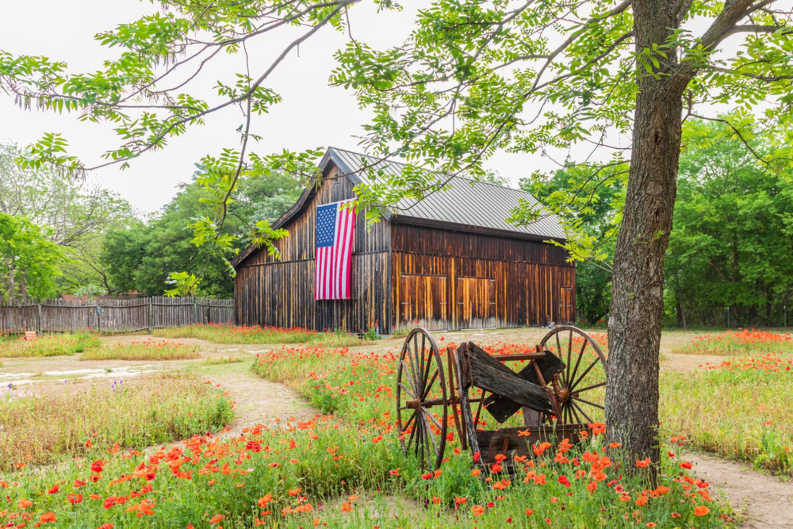 Castroville Neighborhood Pic