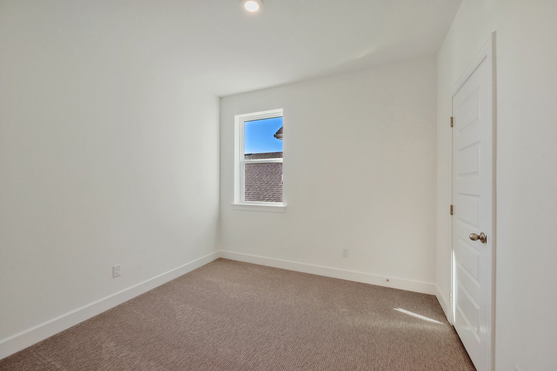 bedroom with carpet, windows, and walk in closet