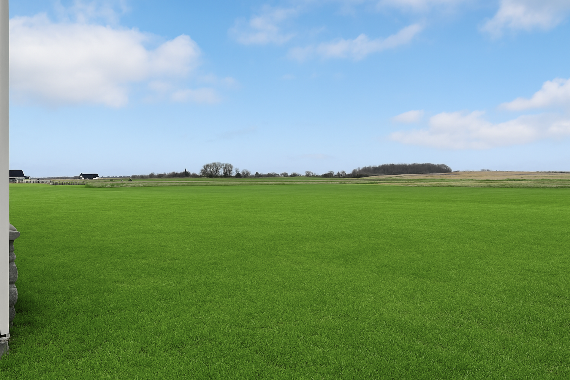 backyard with green grass and blue skies