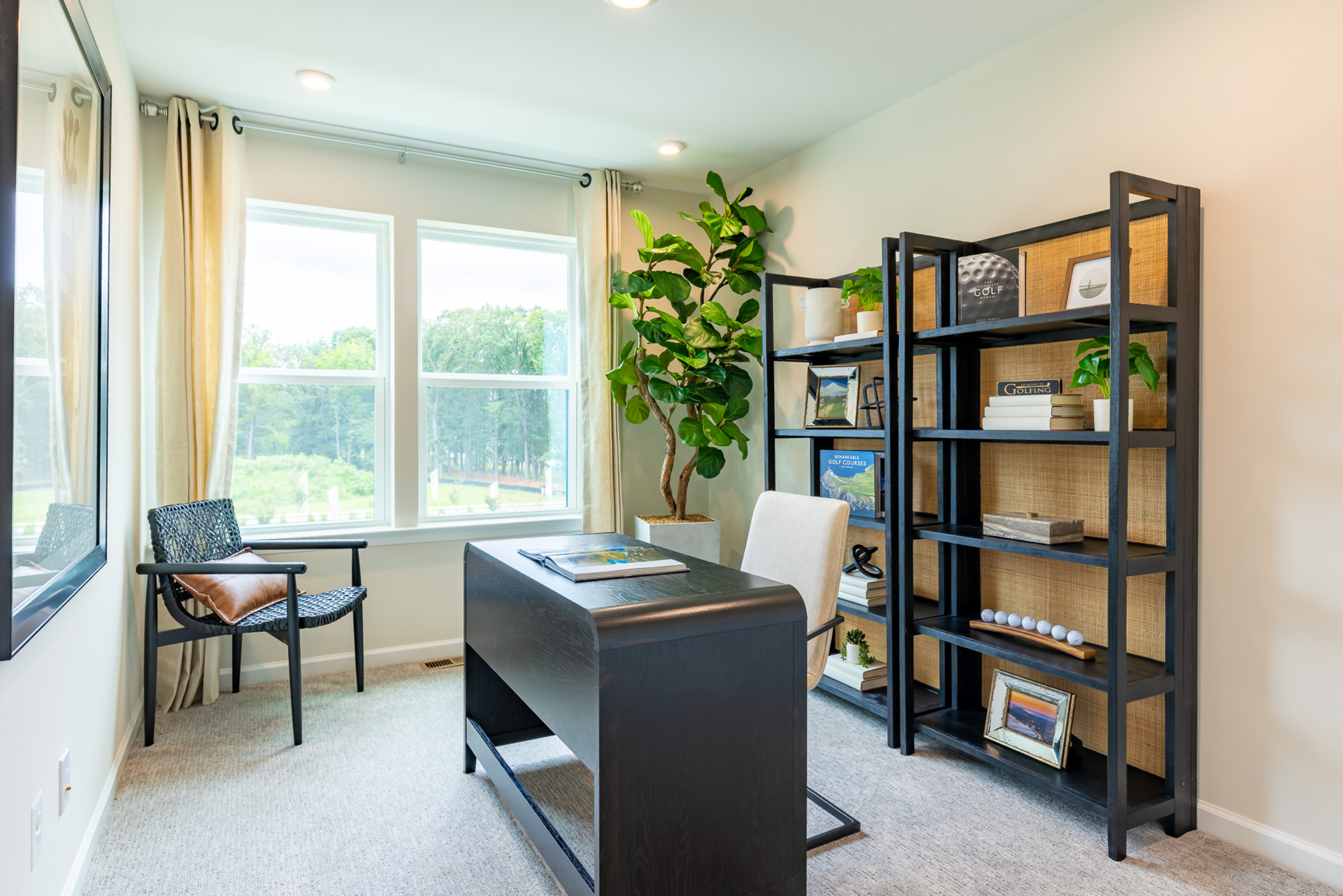 Card image for Chesapeake