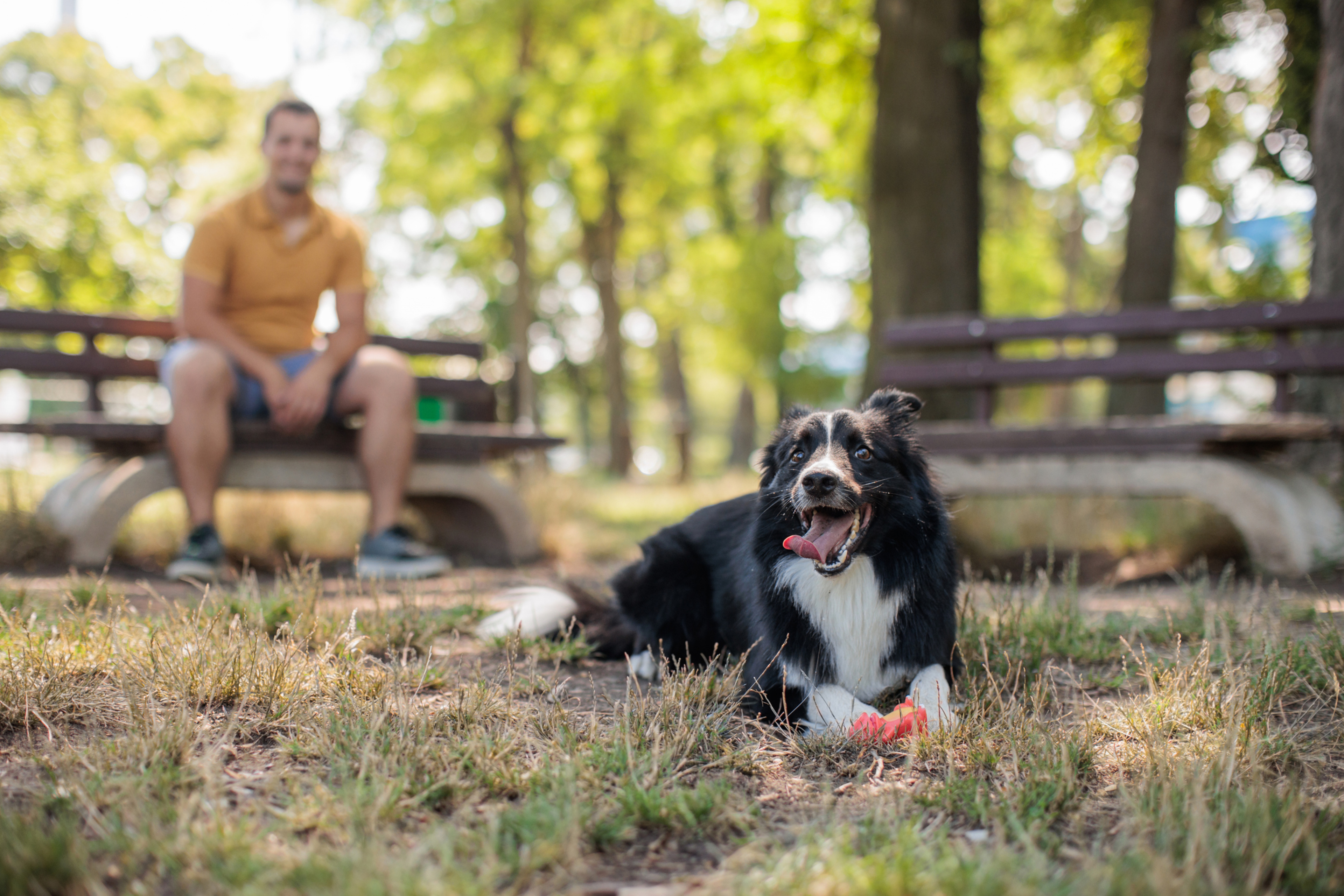 Community Dog Park Coming Soon