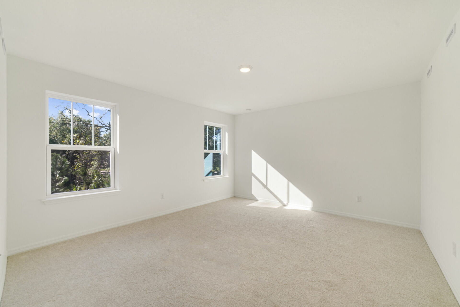 primary bedroom with two windows and carpet throughout