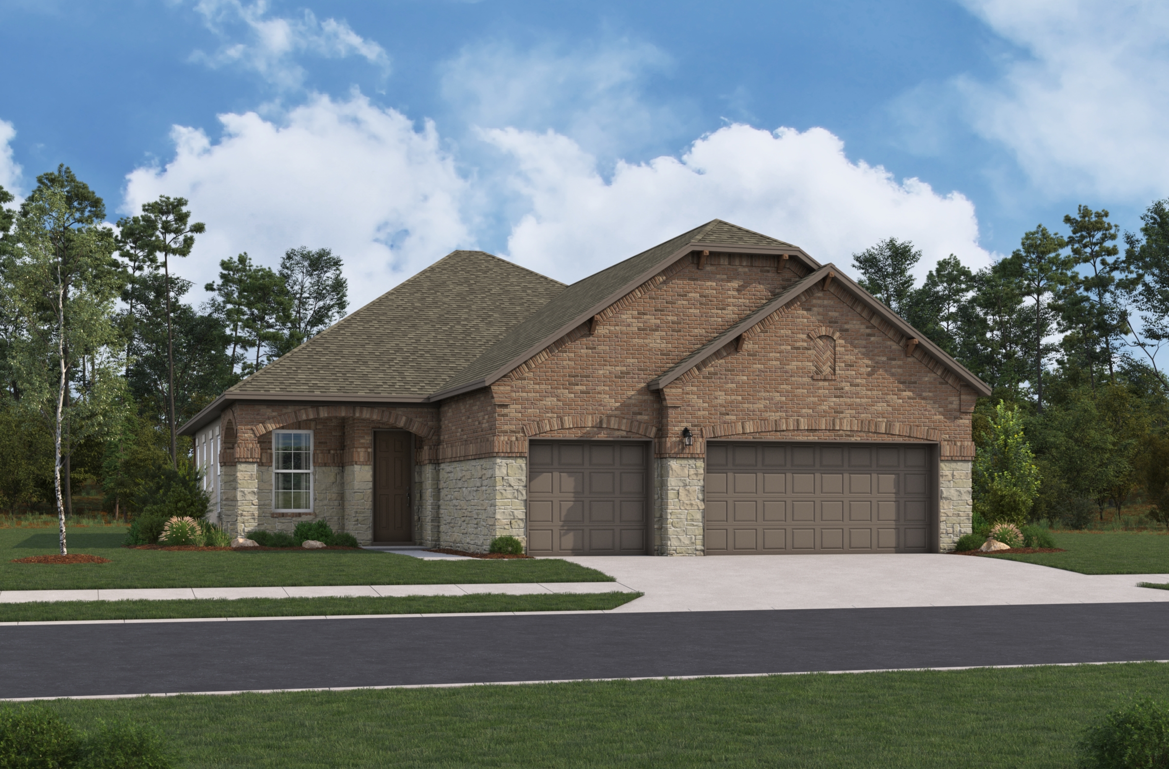 Card image for Live Oak