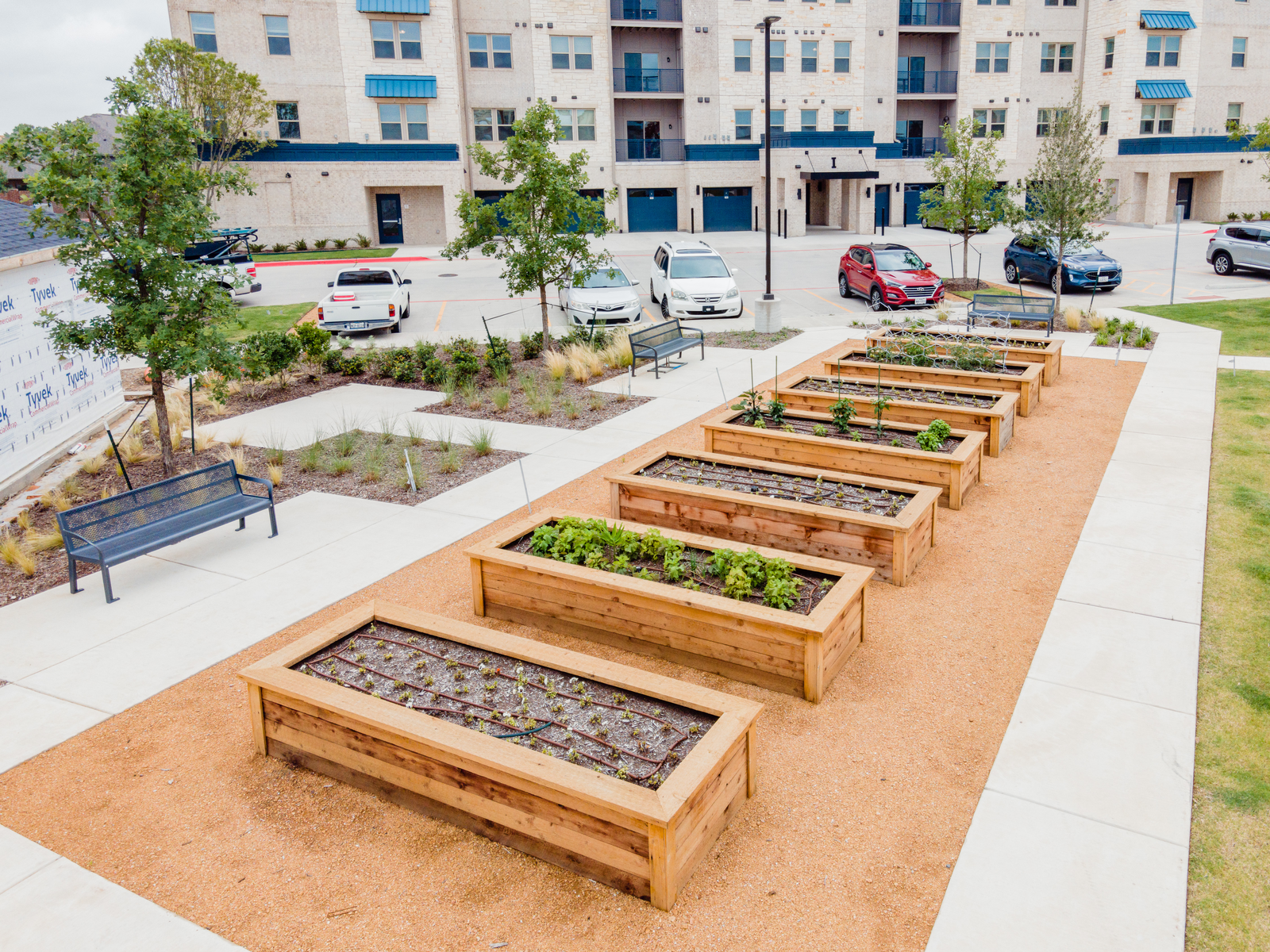 community garden with garden boxes