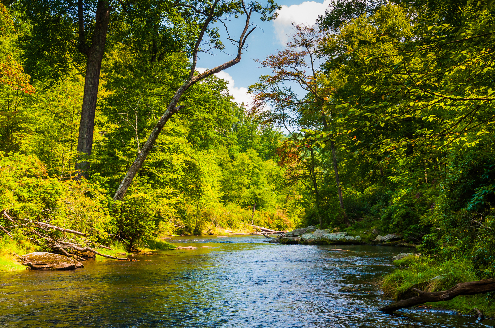 Gunpowder Falls, Baltimore Md