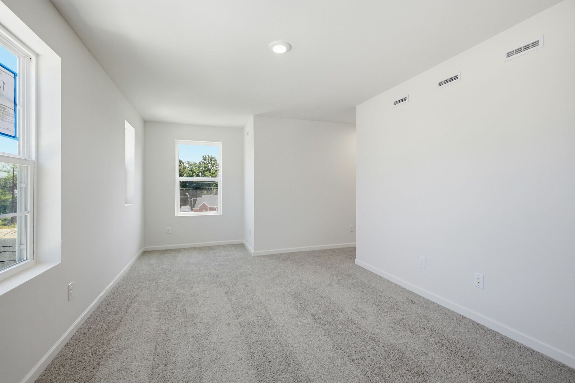 primary bedroom with carpet, large windows, and a walk in closet