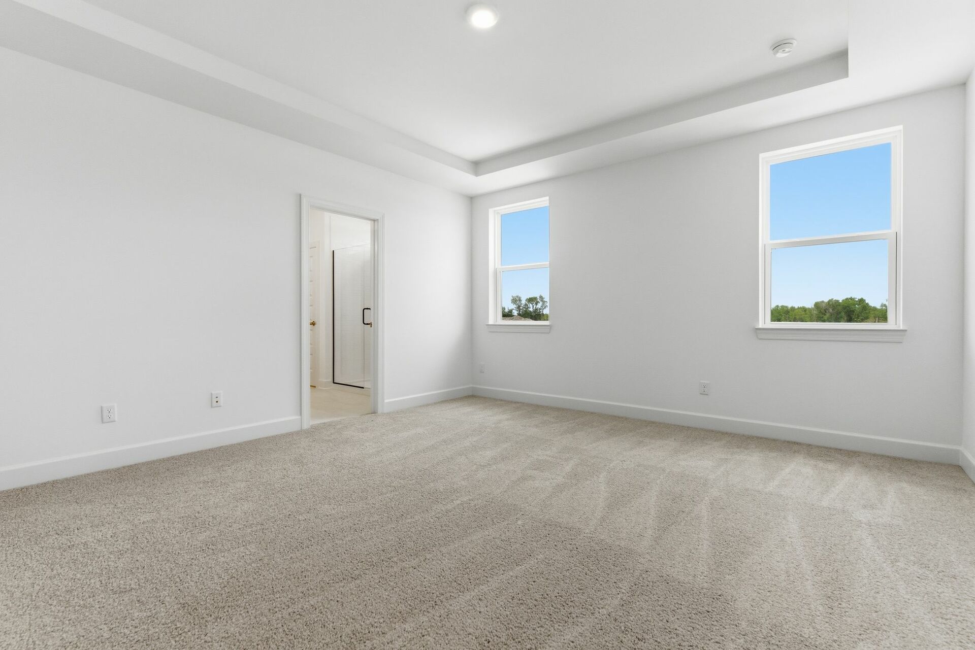 primary bedroom with carpet, large windows, tray ceiling, and large walk-in closet