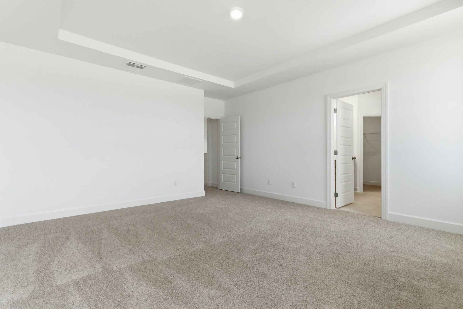 primary bedroom with carpet, large windows, tray ceiling, and large walk-in closet