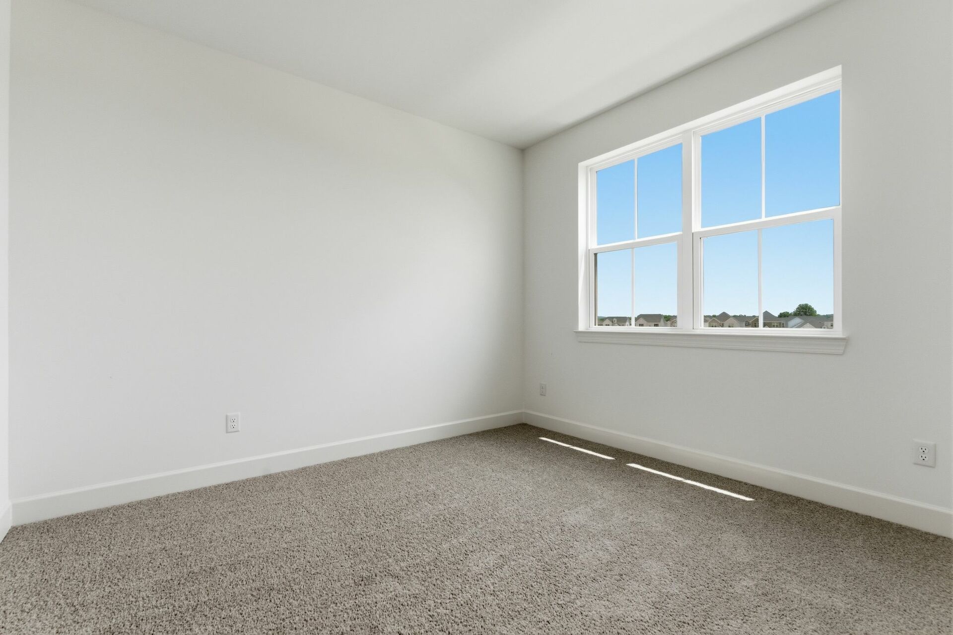secondary bedroom with carpet, large windows, and walk-in closet