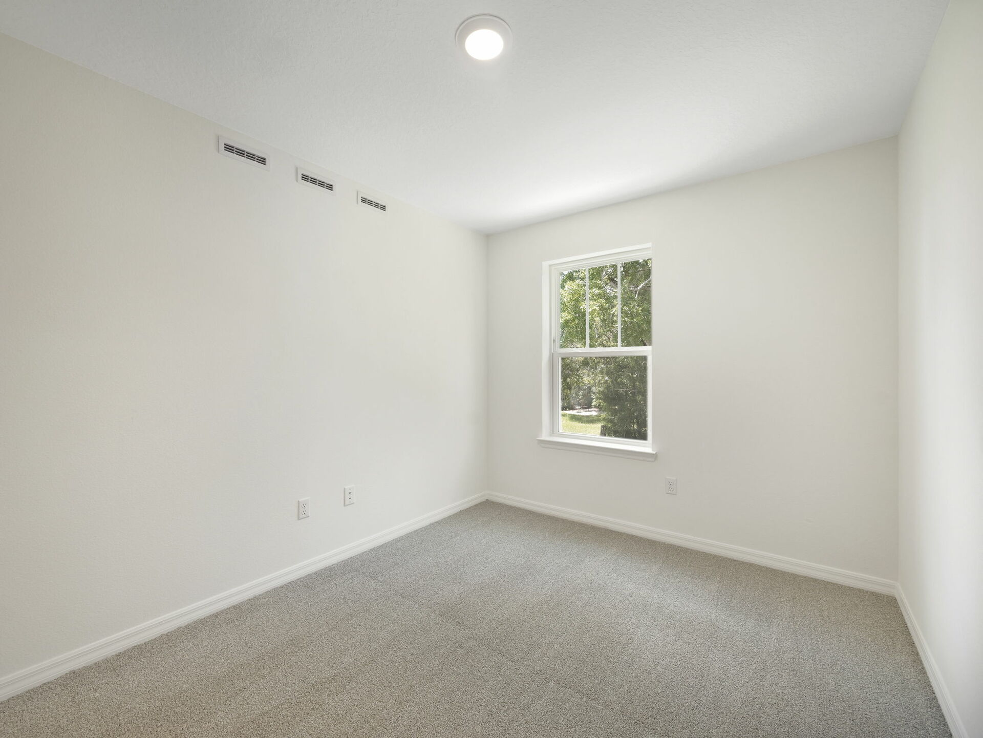 carpet throughout with single window and closet