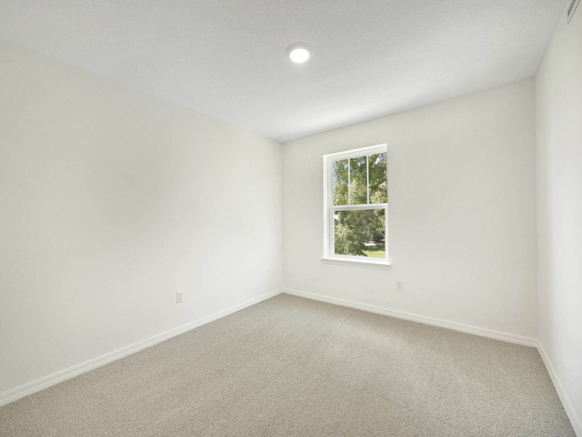 carpet throughout with single window and closet