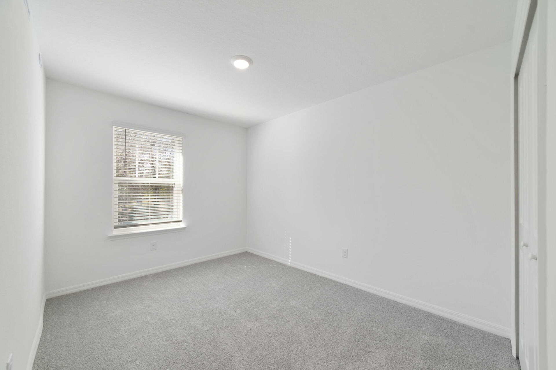 room with carpet throughout single window and access to the closet