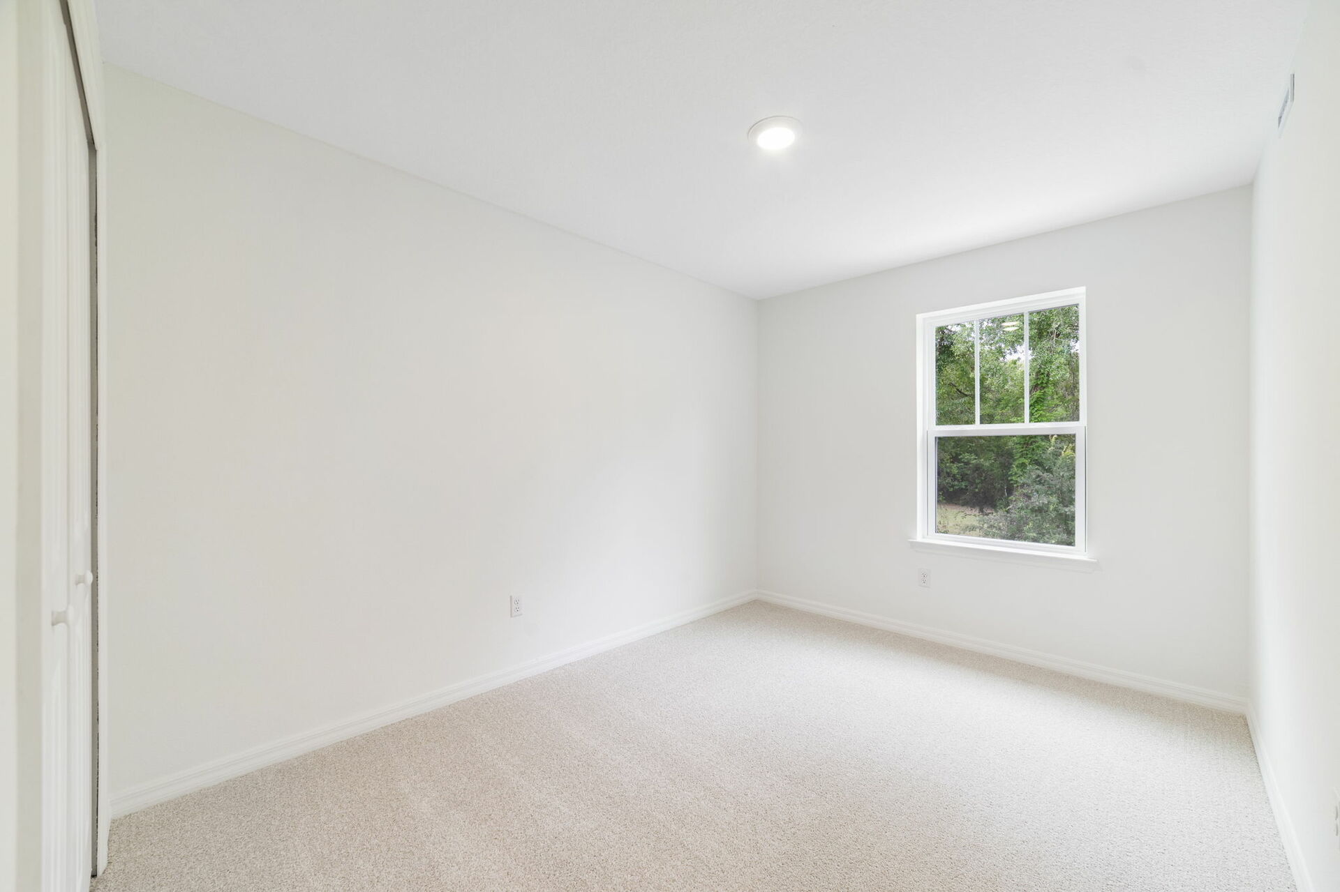 carpet throughout with single window and closet