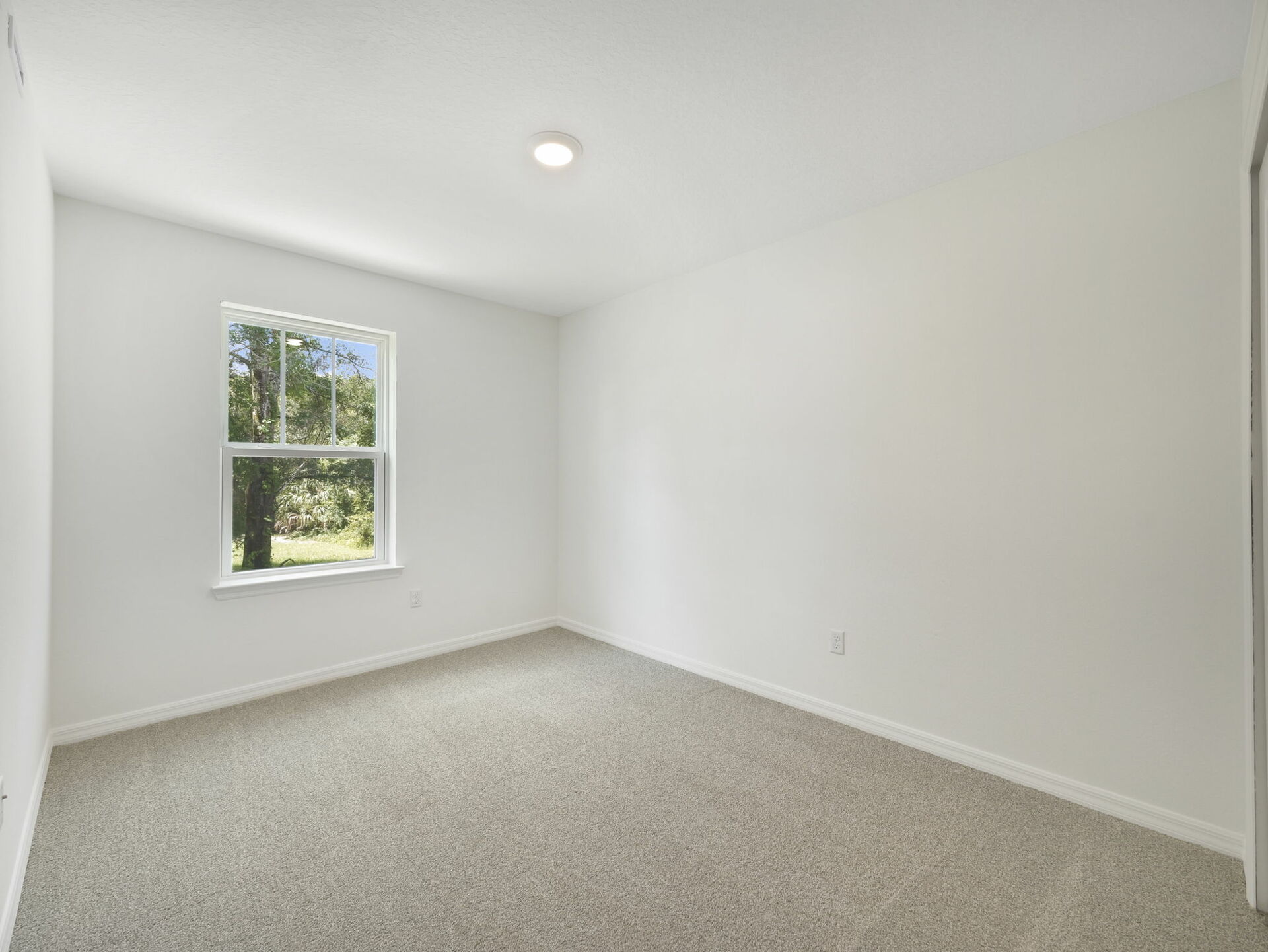 carpet throughout with single window and closet