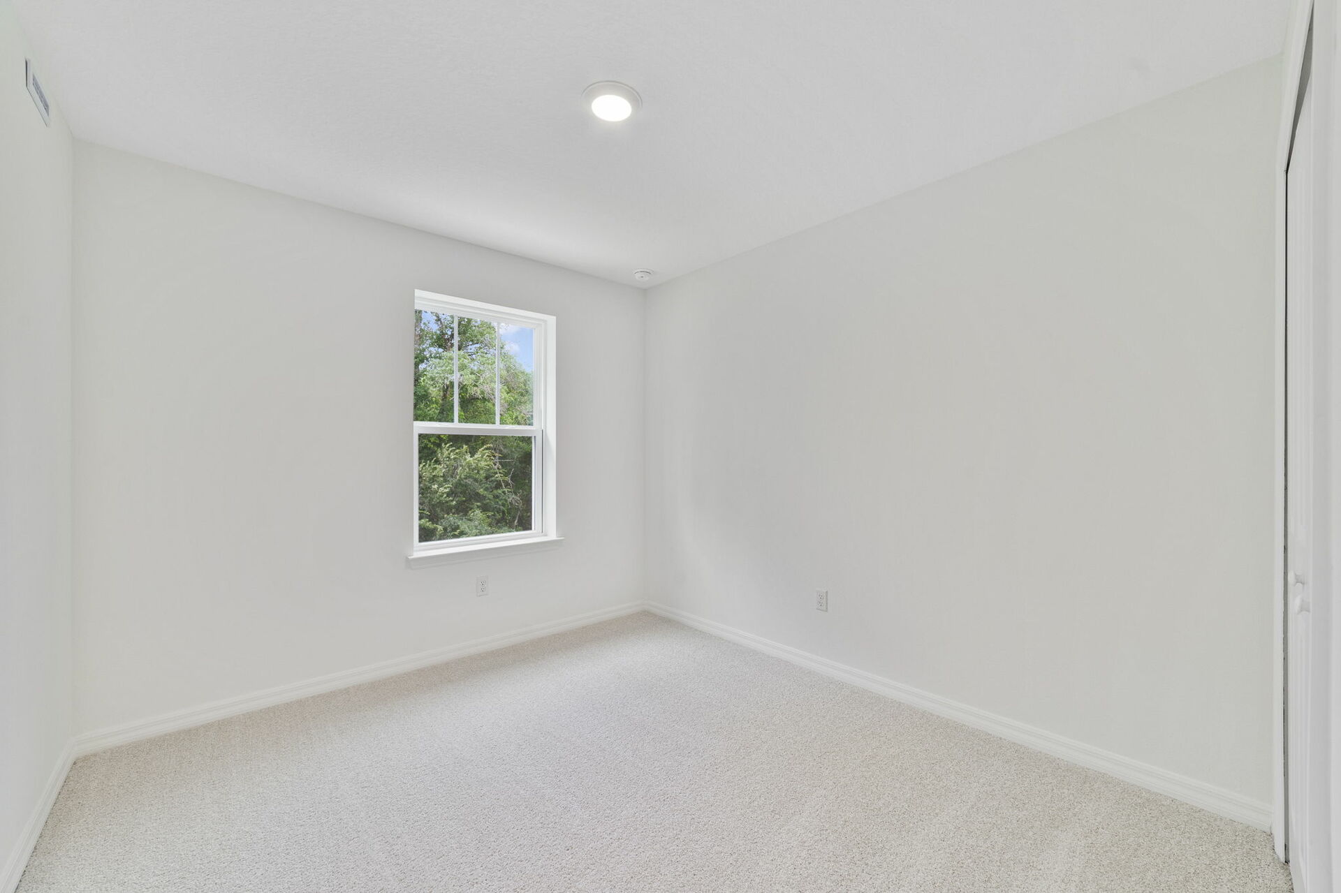 carpet throughout with a single window and carpet