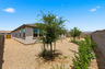 spacious landscaped backyard with trees, rocks, and bushes