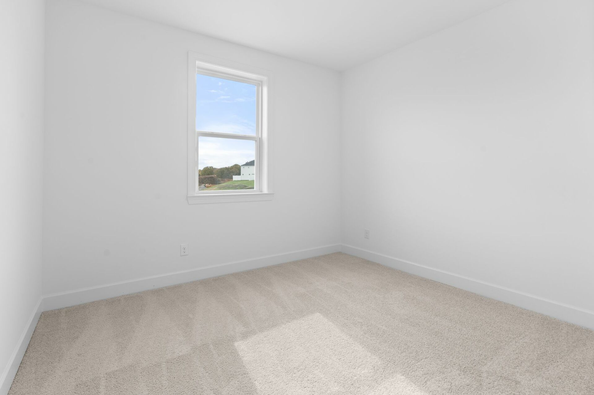 secondary bedroom with carpet flooring and large window