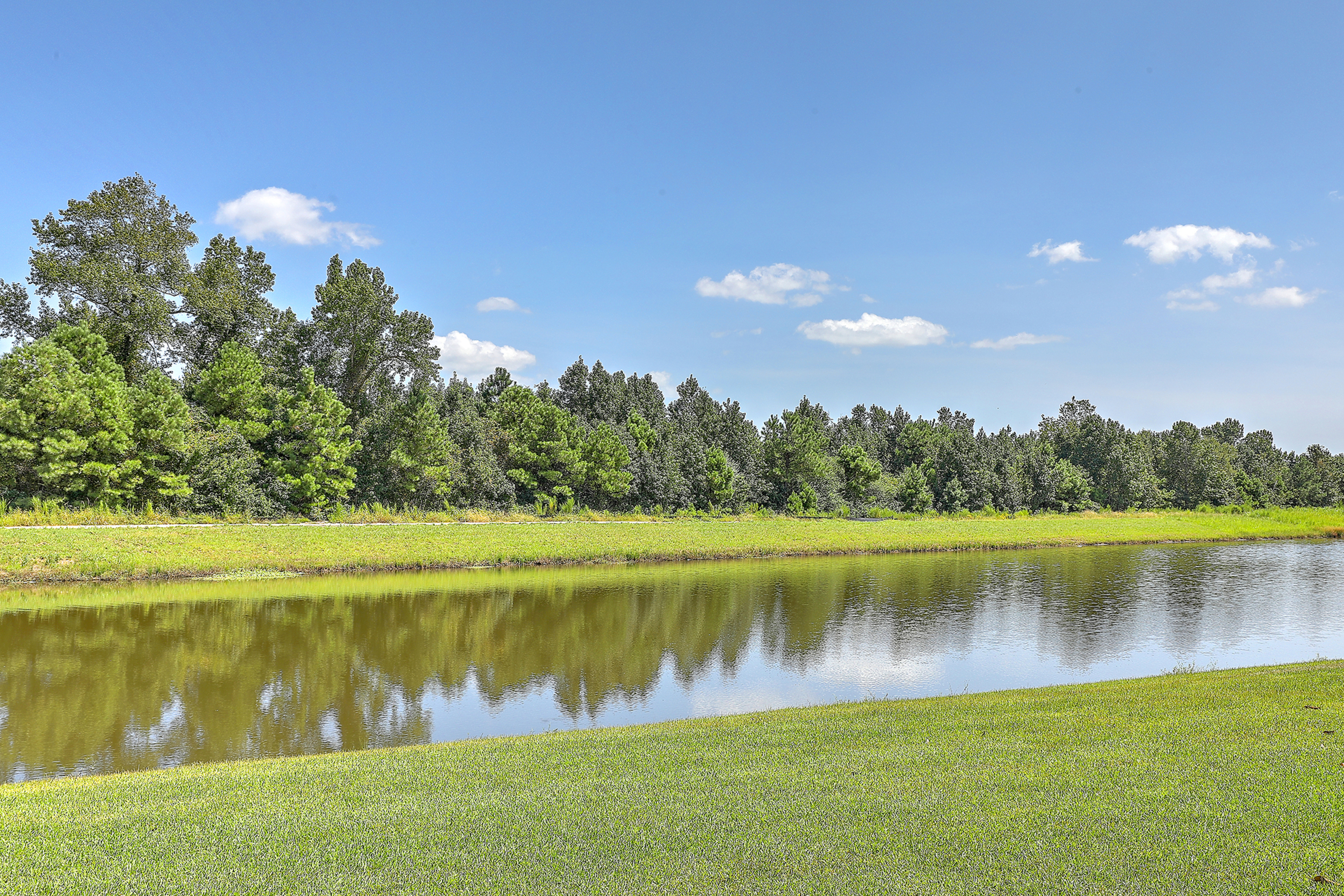 Laurel Pond & Wooded View
