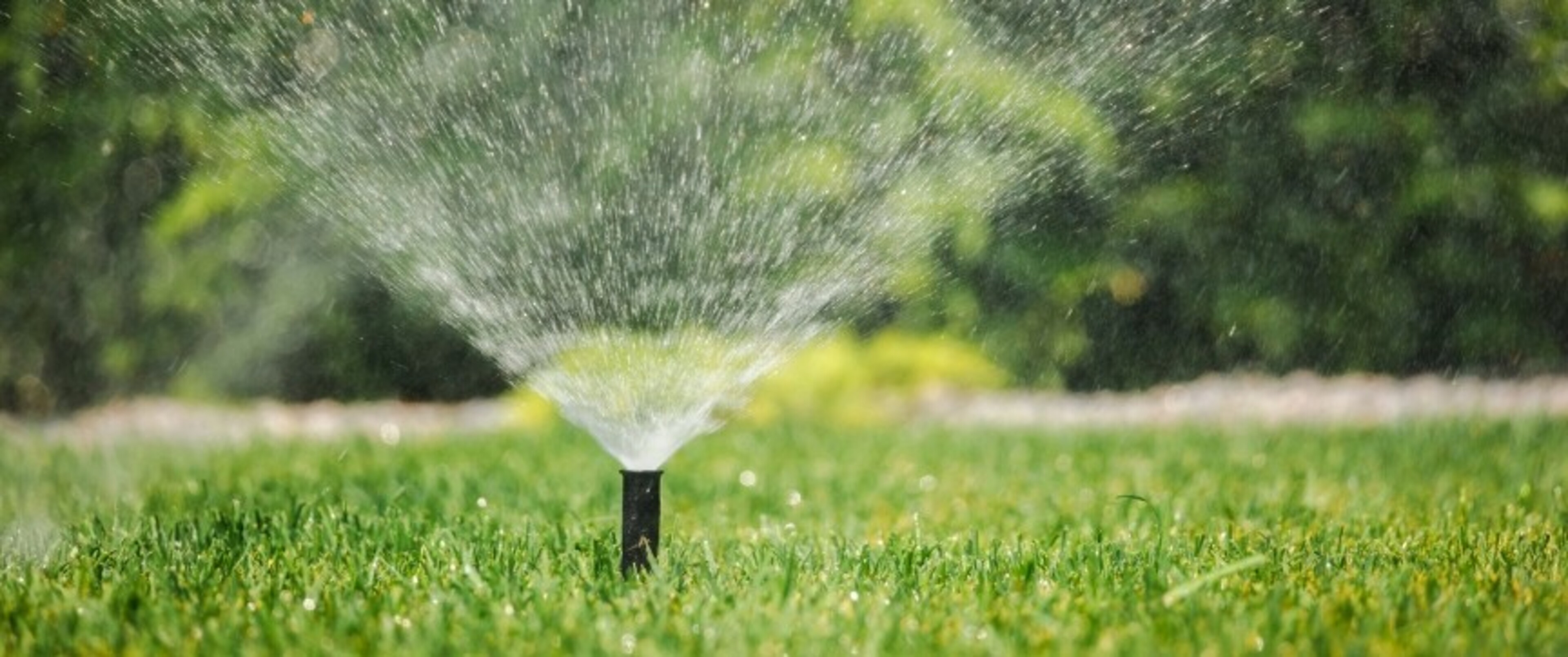 Lifestyle-Low Maintenance.jpg