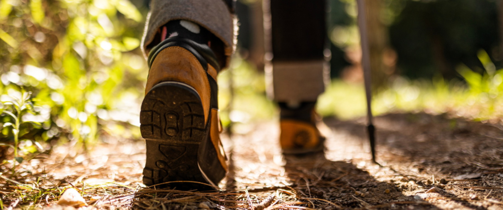 Local Area - Hiking