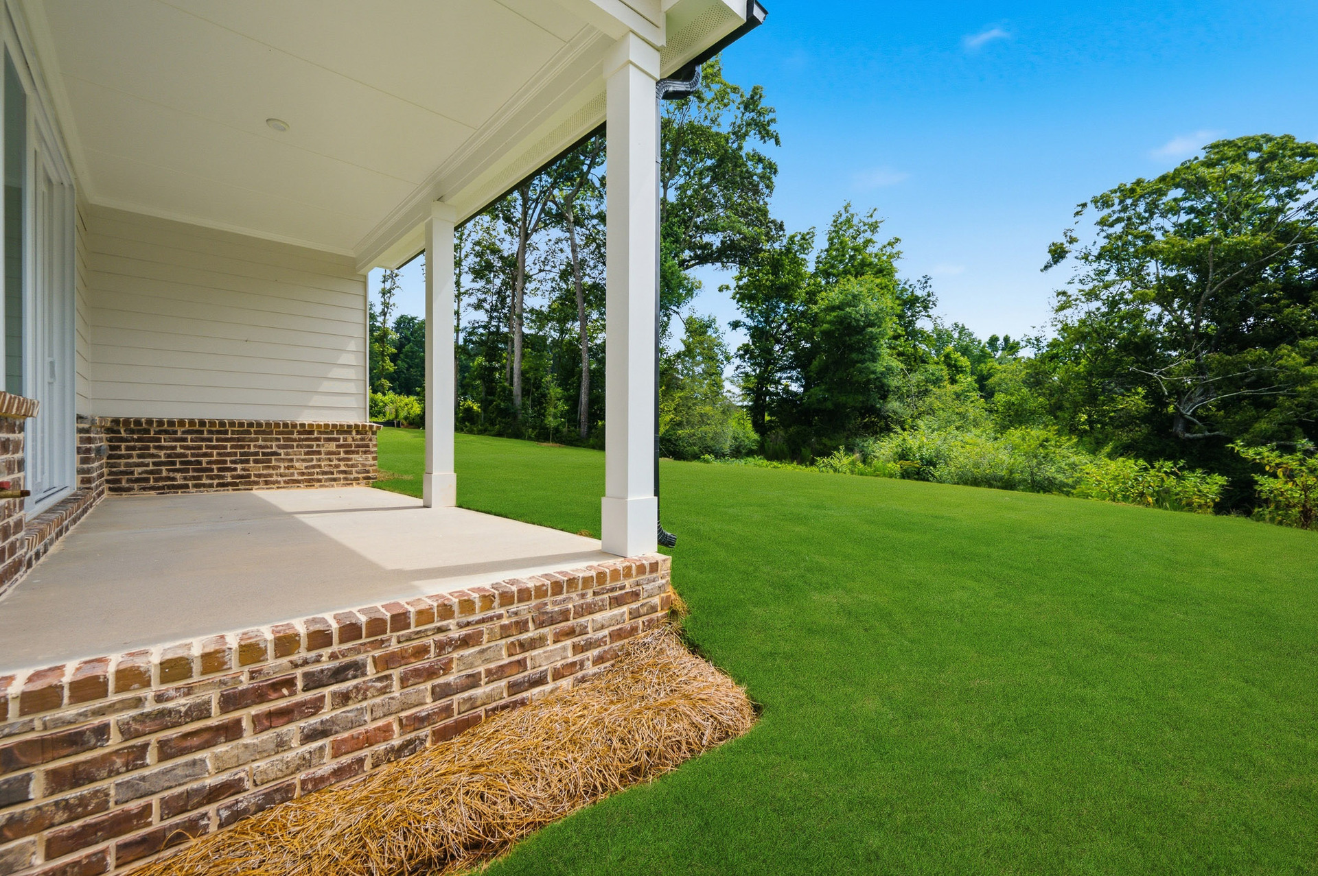 backyard of home with covered patio and lush greenery