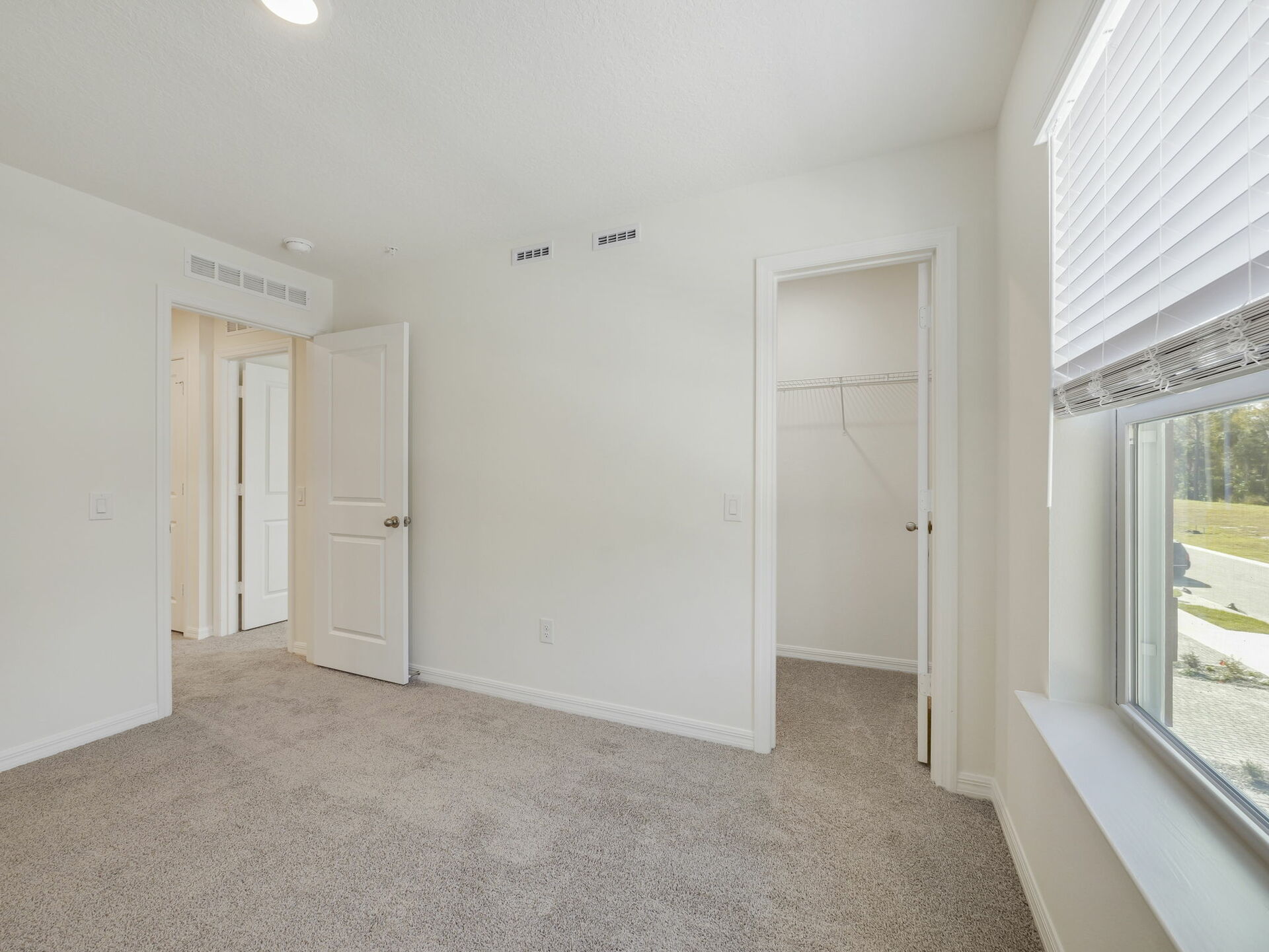 secondary bedroom with carpet and large window