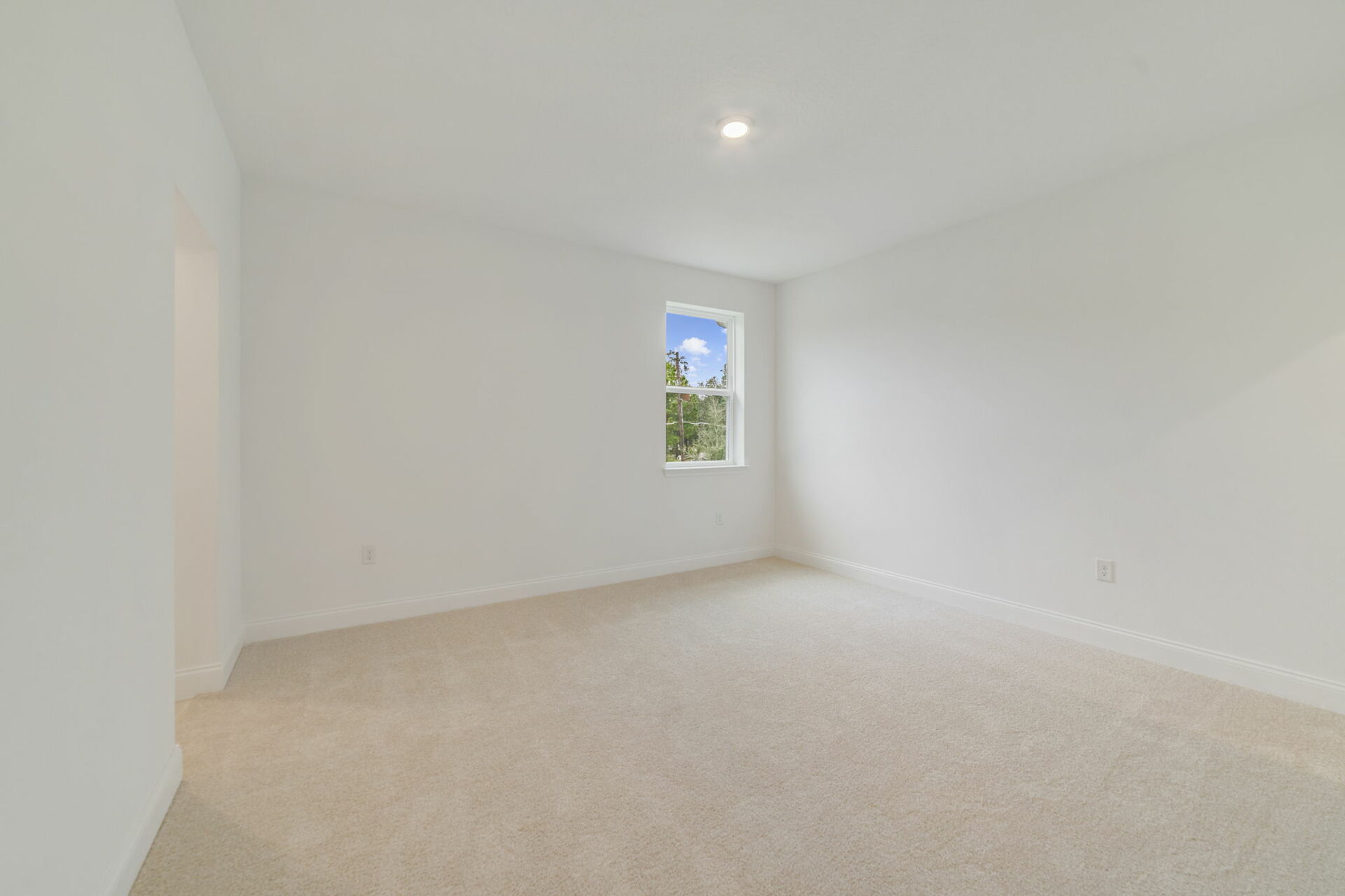 secondary bedroom with carpet and access to closet